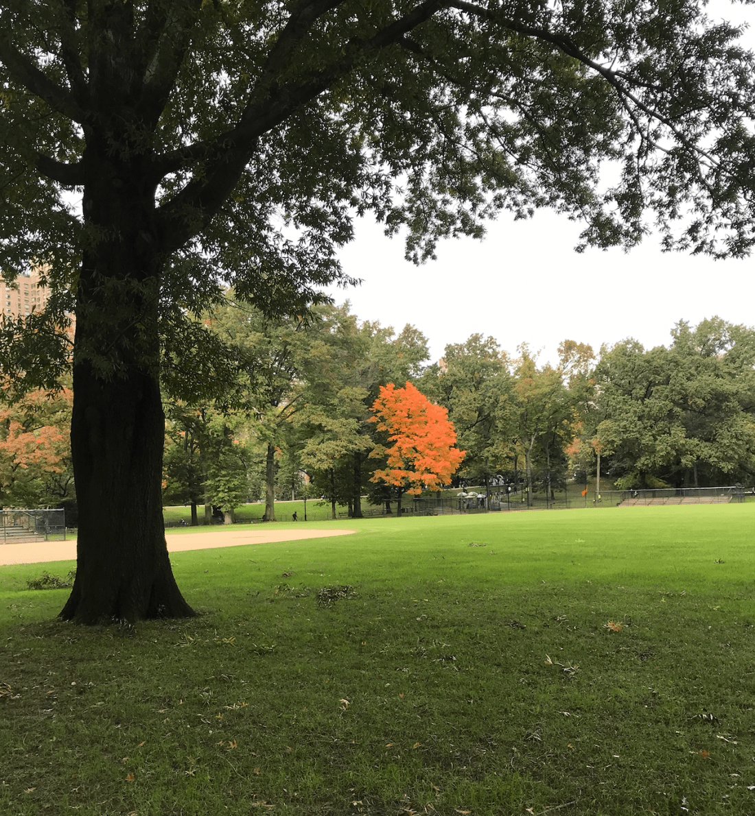 Screen Shot 2018-12-20 at 1.39.12 PM.png